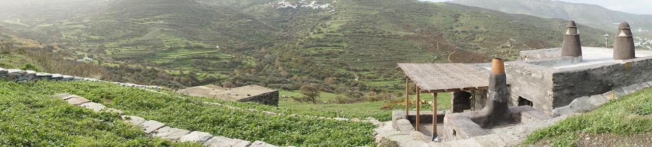 Alonaki Tinos Rental Cottage House Skaládhos Esterno foto